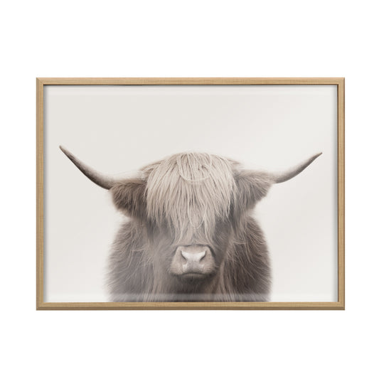 Hey Dude Highland Cow Framed Wall Art Print