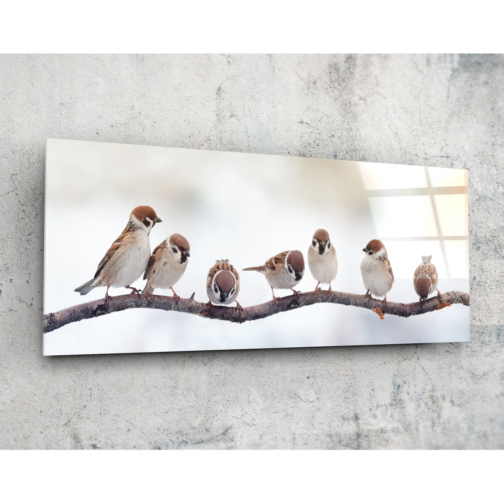 Birds panoramic glass wall art - wide landscape bird scene printed on tempered glass