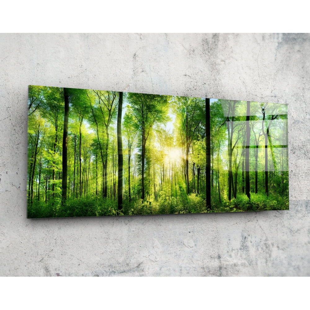 Sunburst Beech Forest glass wall art with green forest canopy scene