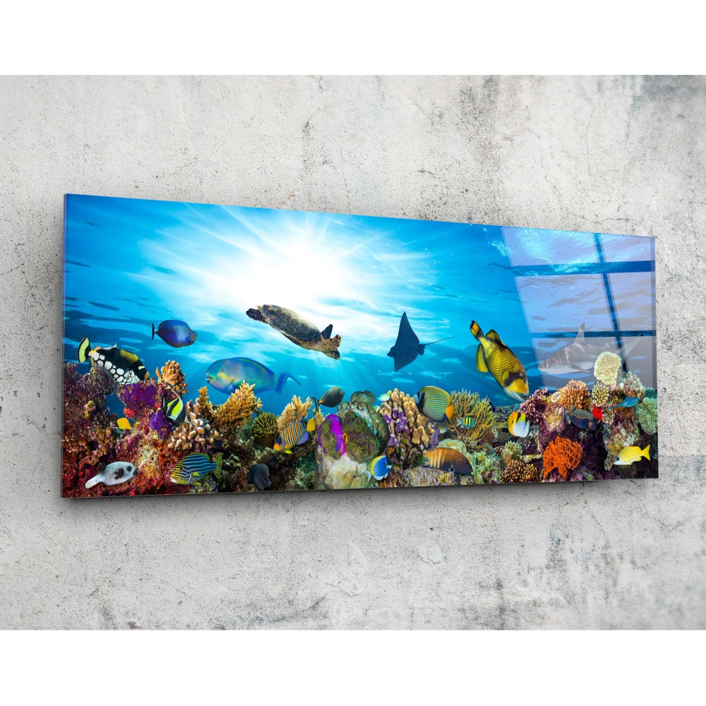 Sea turtle coral reef glass wall art