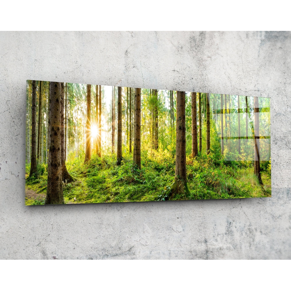 Starburst sun mossy pine forest glass wall art