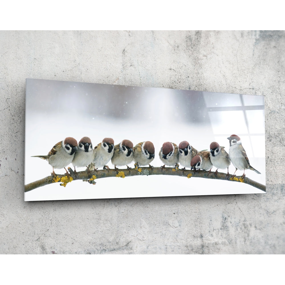 Birds glass wall art tempered glass print