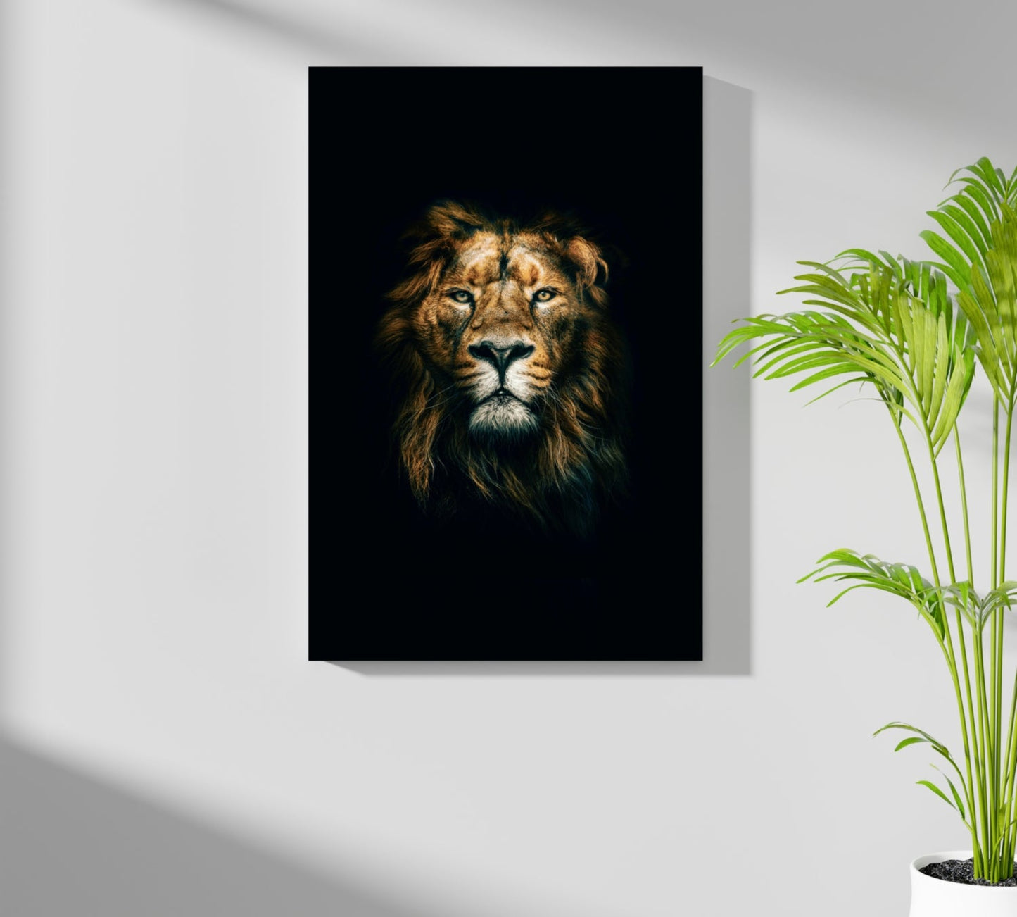 Dramatic Dark Lion Portrait Aluminum Print
