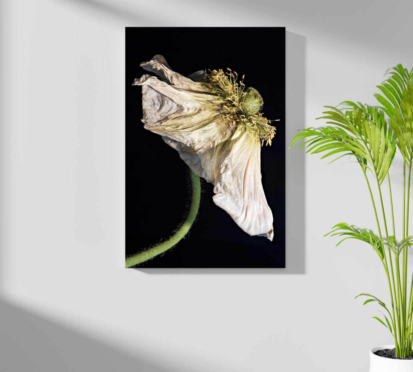 Flower Metal Wall Art