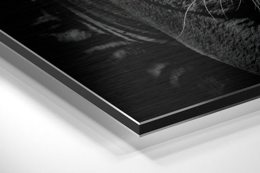 Eye of the Tiger Metal Wall Art
