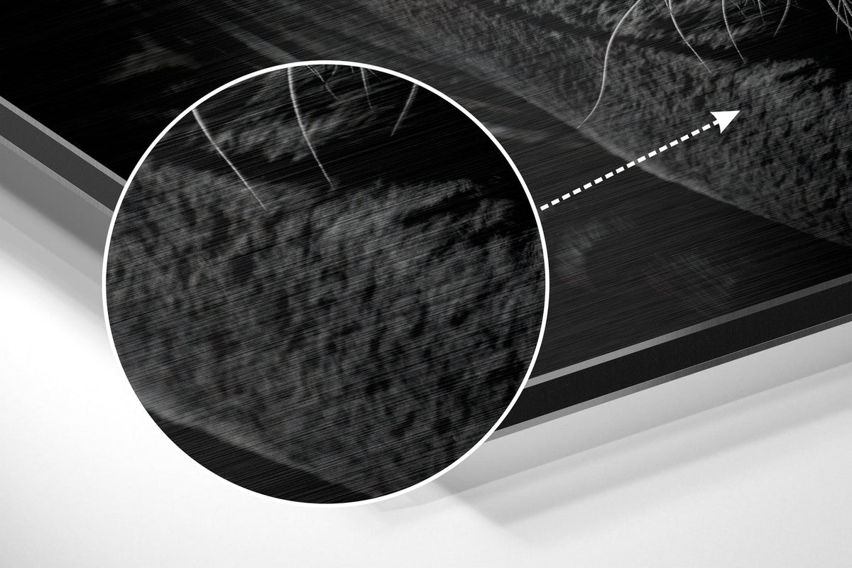 Magnified detail of the brushed metal grain showing through the black and white prowling tiger print
