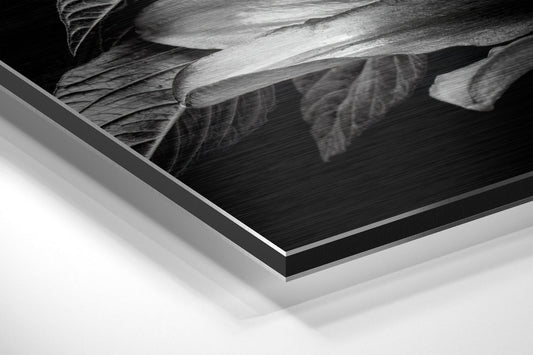 Lillium Metal Wall Art