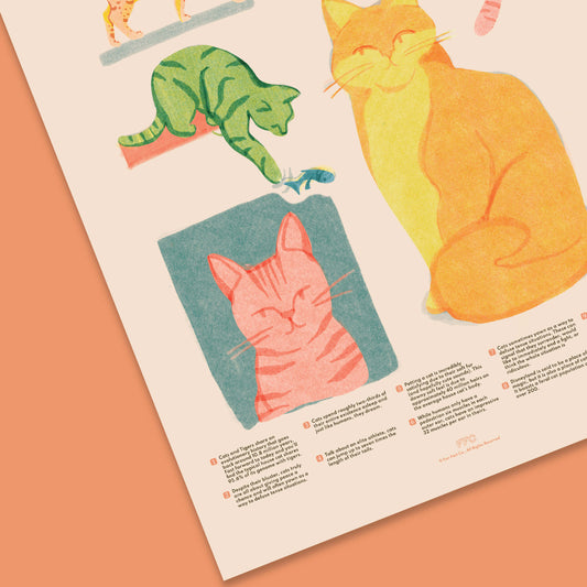 Cat Fun Facts Art Print