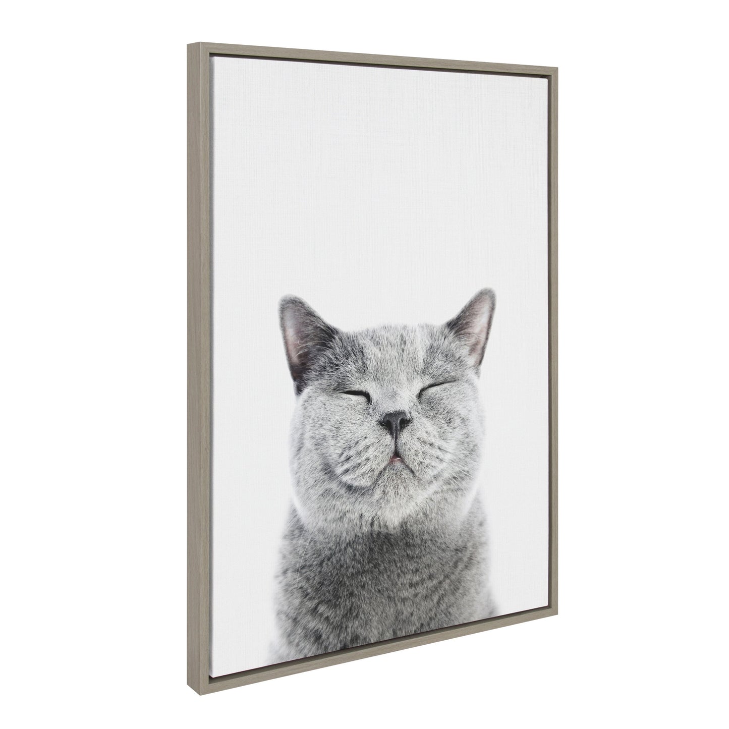 Smiling Cat Framed Canvas Wall Art