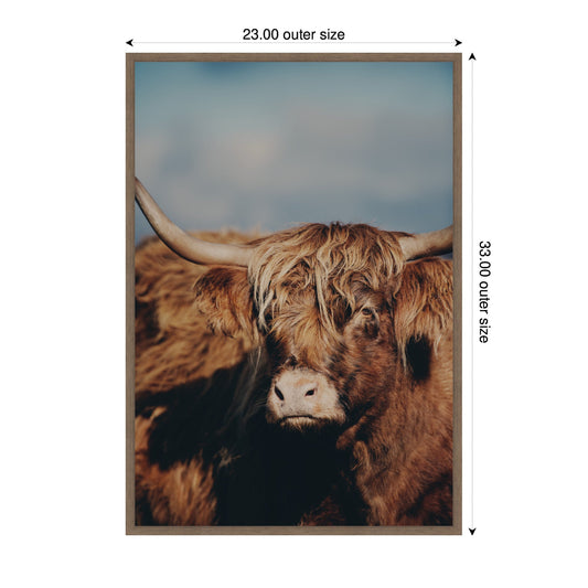 Highland Cow Portrait Framed Canvas Wall Art