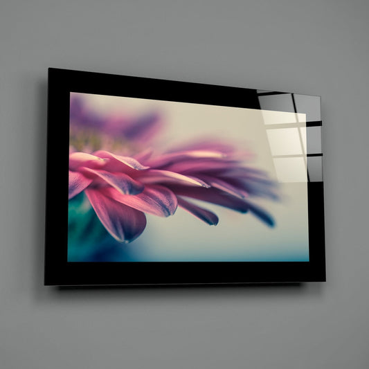 Pink daisy macro glass wall art on a plain gray wall
