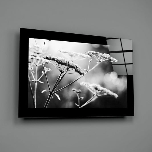 Black and white wildflower glass wall art on a plain gray wall with a window reflection