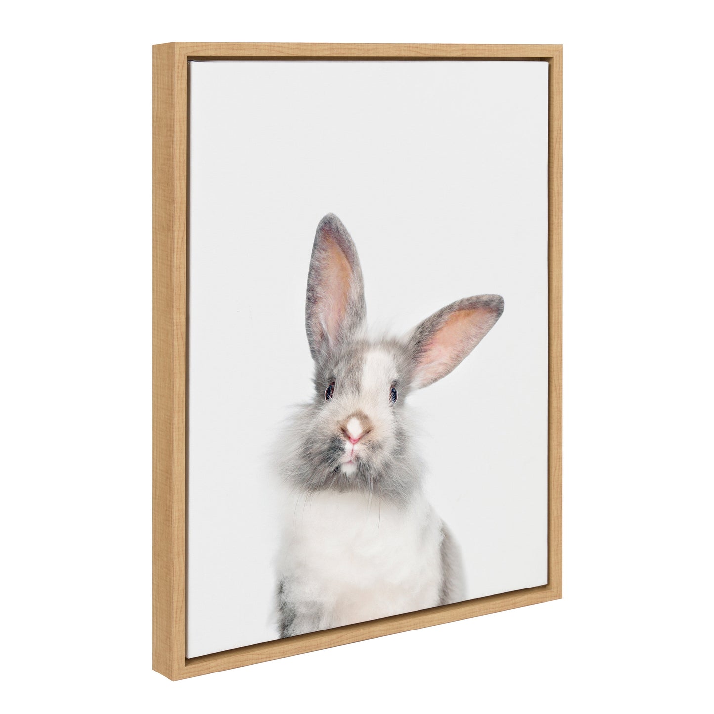 Rabbit Portrait Framed Canvas Wall Art, Nursery Decor