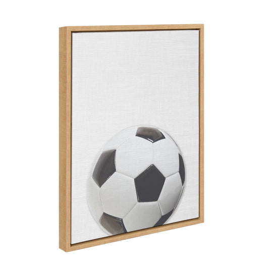 Color Soccer Ball Framed Canvas Wall Art