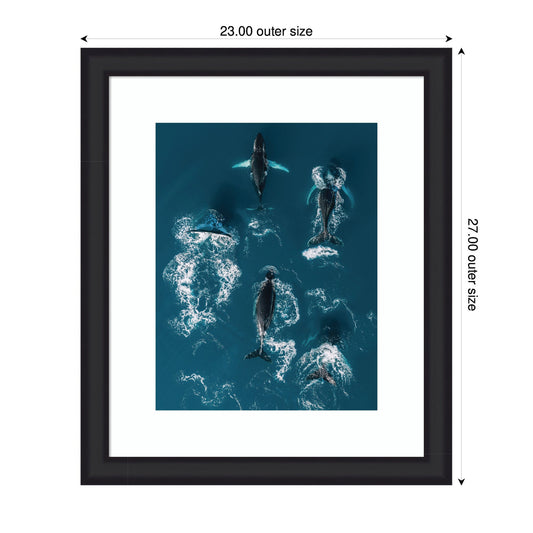 School of Humpback Whales Framed Wall Art Print