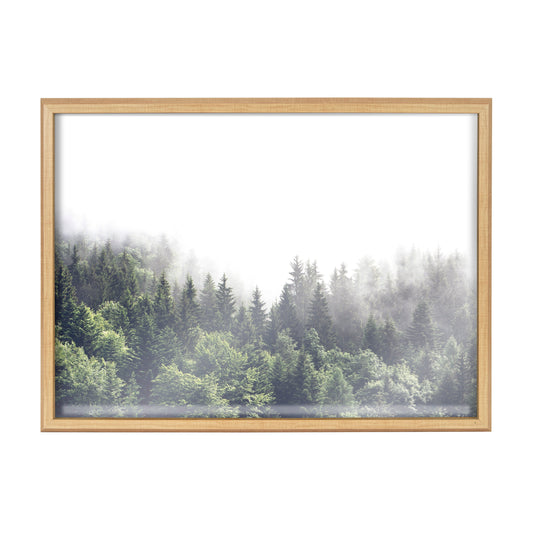 Lush Green Forest Foggy Day Framed Glass Wall Art