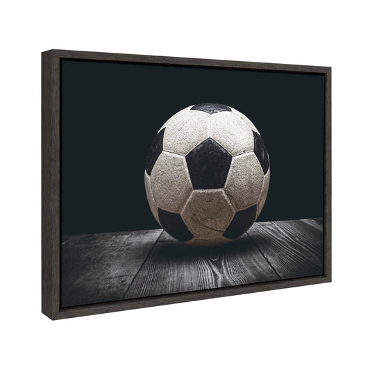 Vintage Soccer Ball Framed Canvas Wall Art
