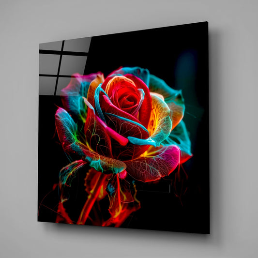 Glowing multicolor red rose on black glass wall art on a gray wall with a window reflection in the glossy front
