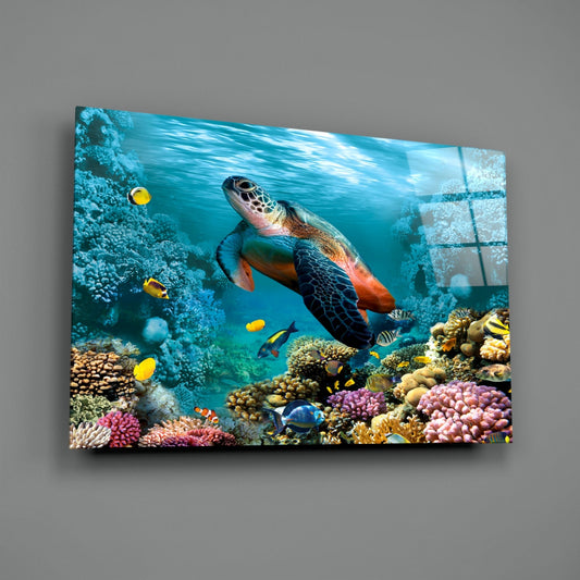 Sea turtle over coral reef glass wall art on a gray wall with a window reflection on the glossy surface