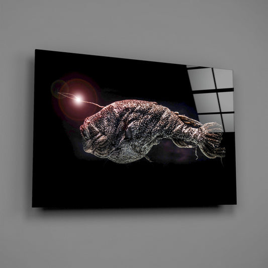 Deep Sea Anglerfish Glass Wall Art