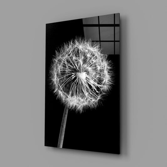 Black and white dandelion glass wall art on a gray wall with light reflecting off the glossy front