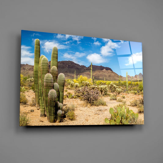 Saguaro cactus desert glass wall art on a gray wall with light reflecting off the glossy front
