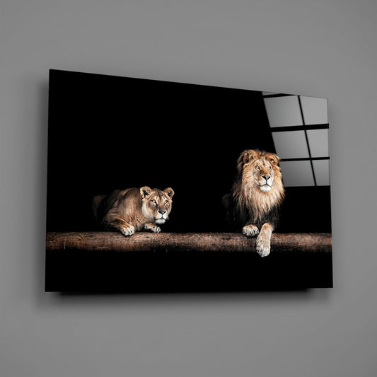 Lion and lioness on a log glass wall art on a gray wall with a soft window reflection