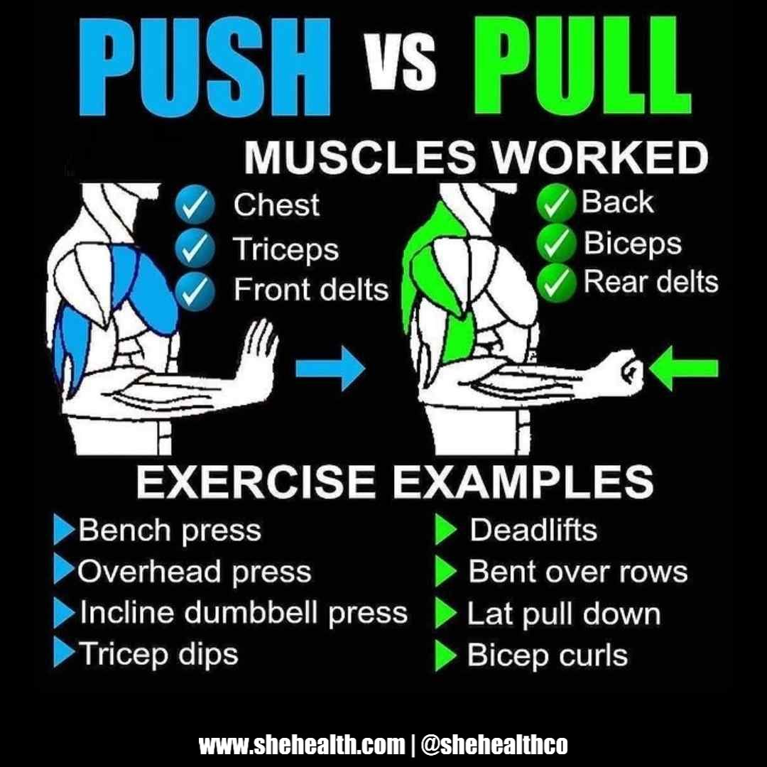 Push vs Pull: Understanding the Difference for a Balanced Workout Routine