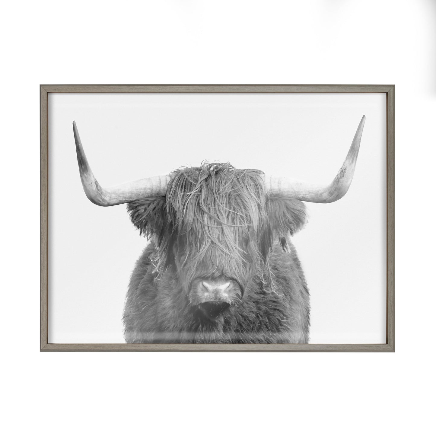 Highland Cow Portrait Framed Wall Art Print