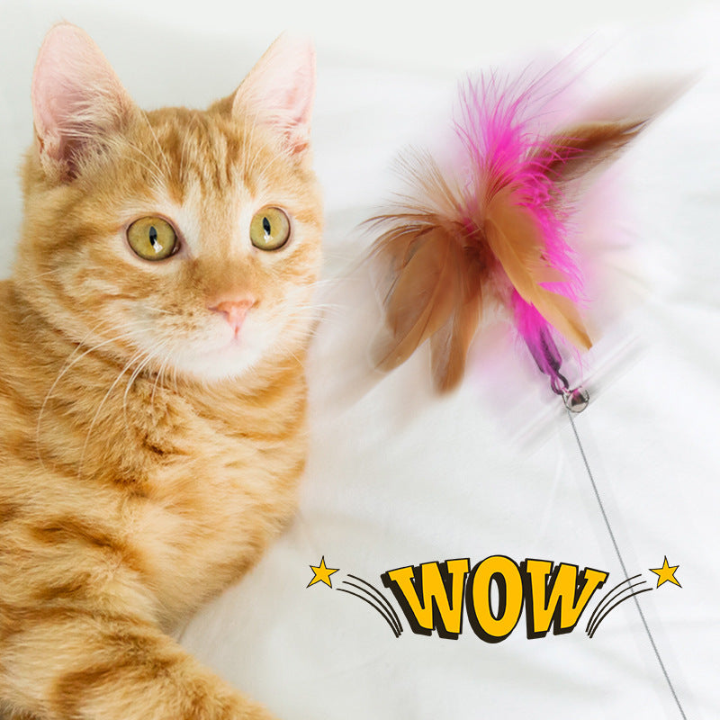 PurrPlay Collar Teaser: Where Fun Meets Fitness for Your Feline!