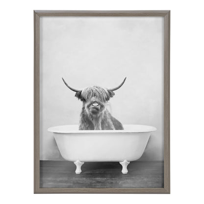 Blake Highland Cow in the Tub BW Framed Printed Glass by Amy Peterson Art Studio