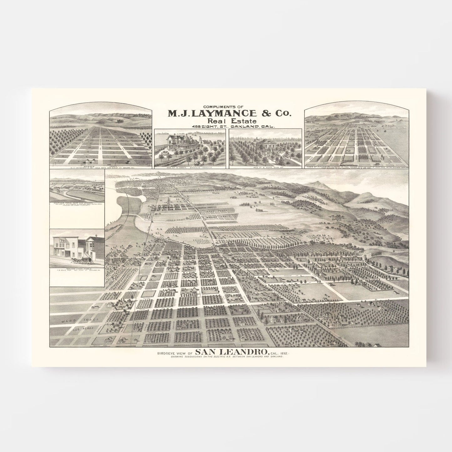Vintage Map of San Leandro, California, 1892