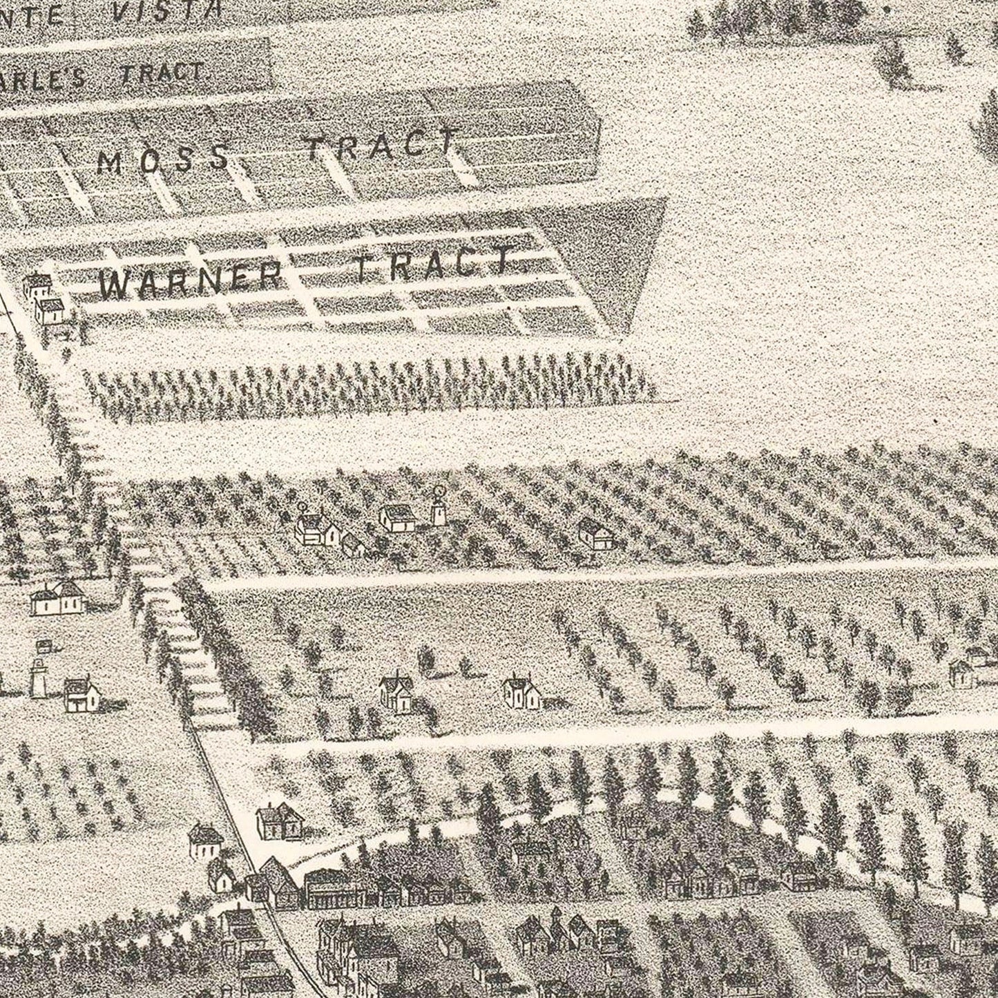Vintage Map of San Leandro, California, 1892
