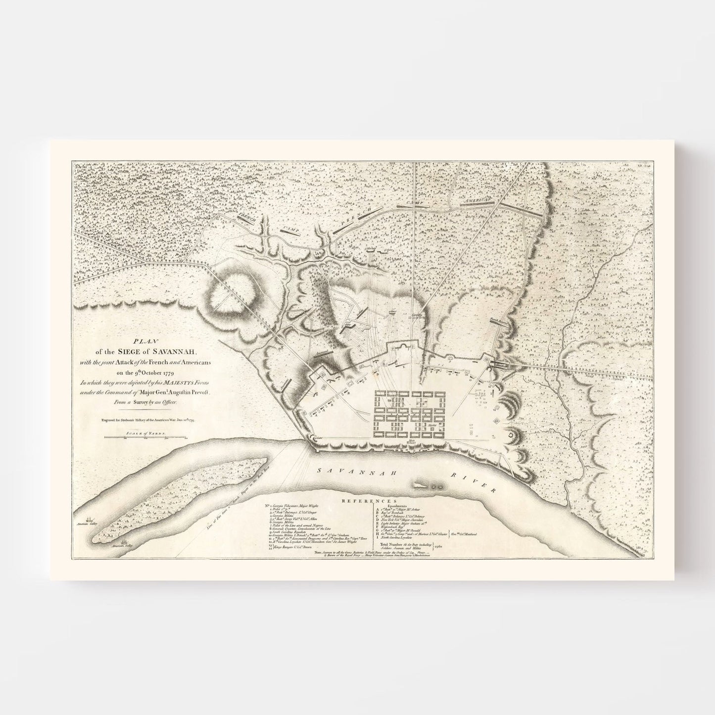 Vintage Map of Savannah, Georgia, 1794