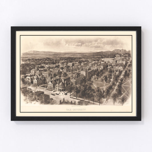 Vintage map of New Haven featuring Yale University campus, 1906