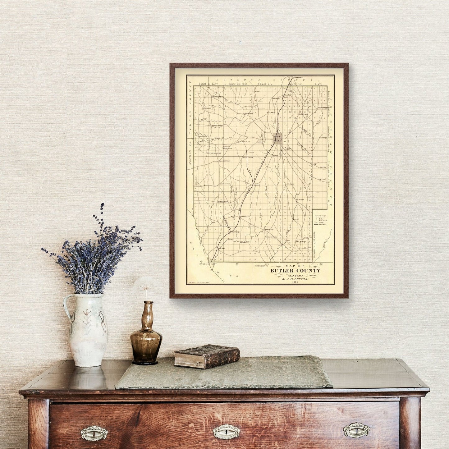 Vintage Map of Butler County, Alabama, 1884 Wall Art