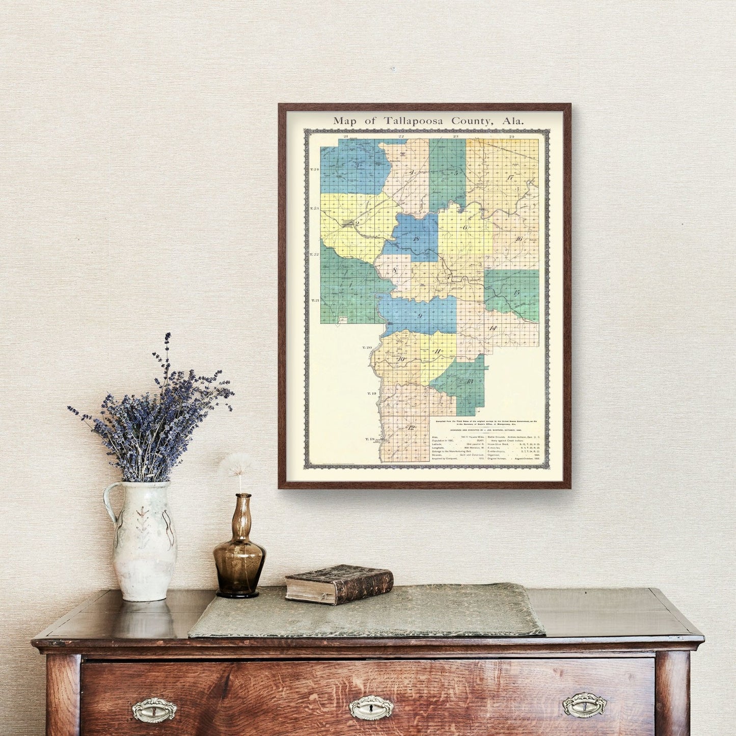 Vintage Map of Tallapoosa County, Alabama, 1885