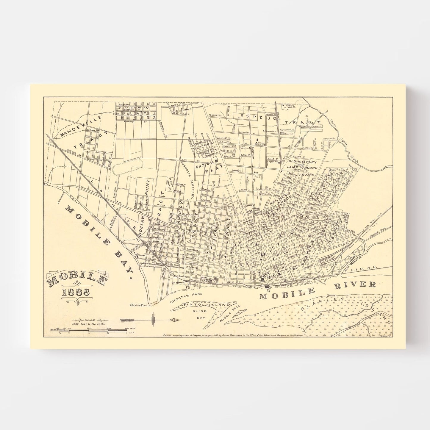 Vintage Map of Mobile, Alabama, 1888