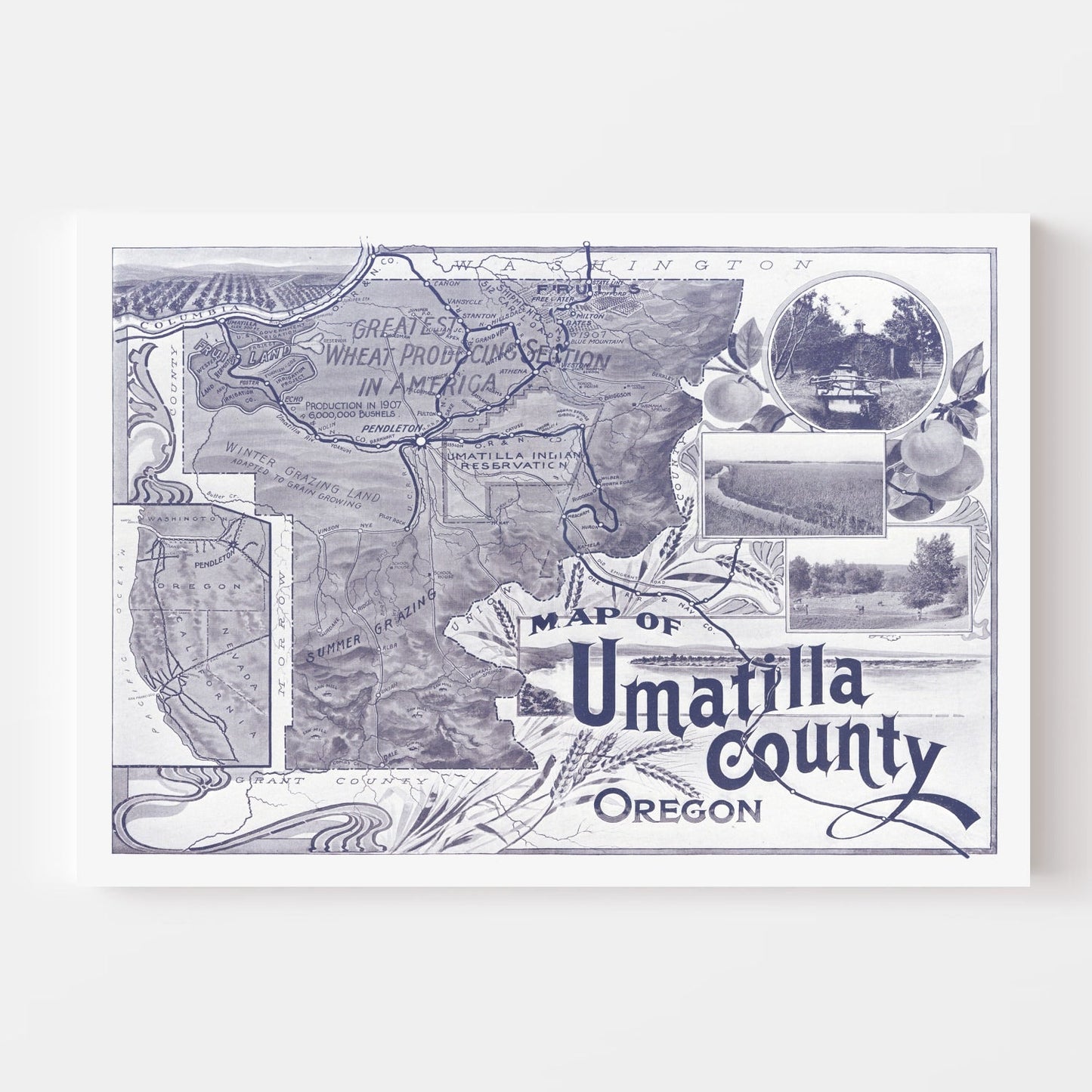 Vintage Map of Umatilla County, Washington, 1908