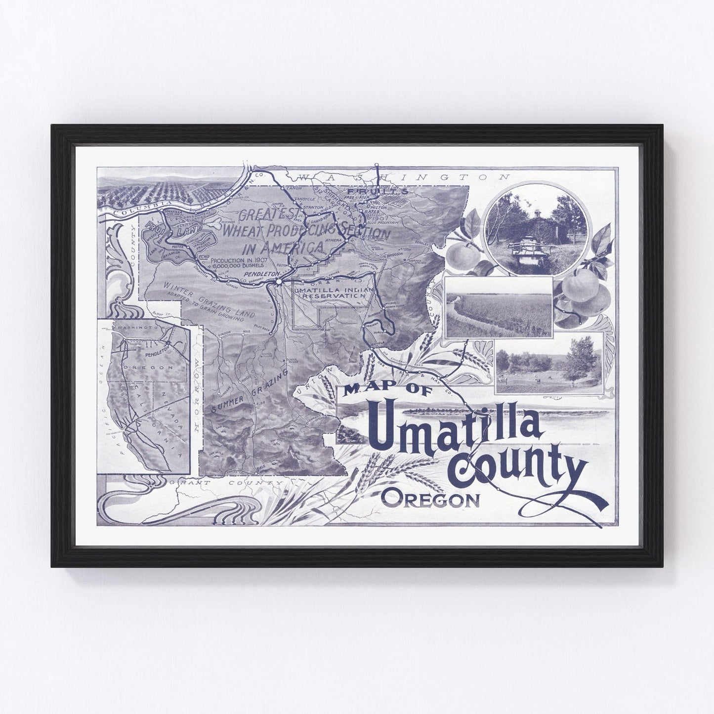 Vintage map of Umatilla County, Washington, 1908