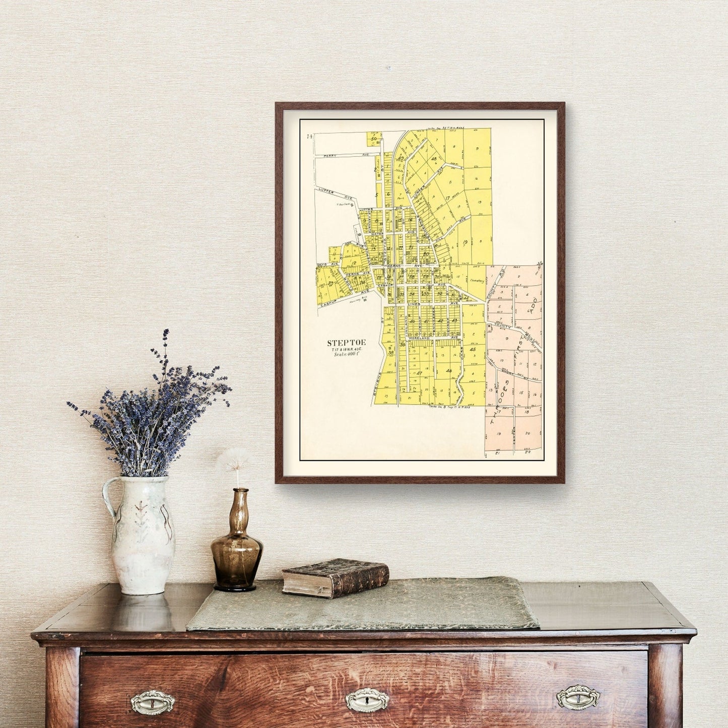 Vintage Map of Steptoe, Washington, 1910