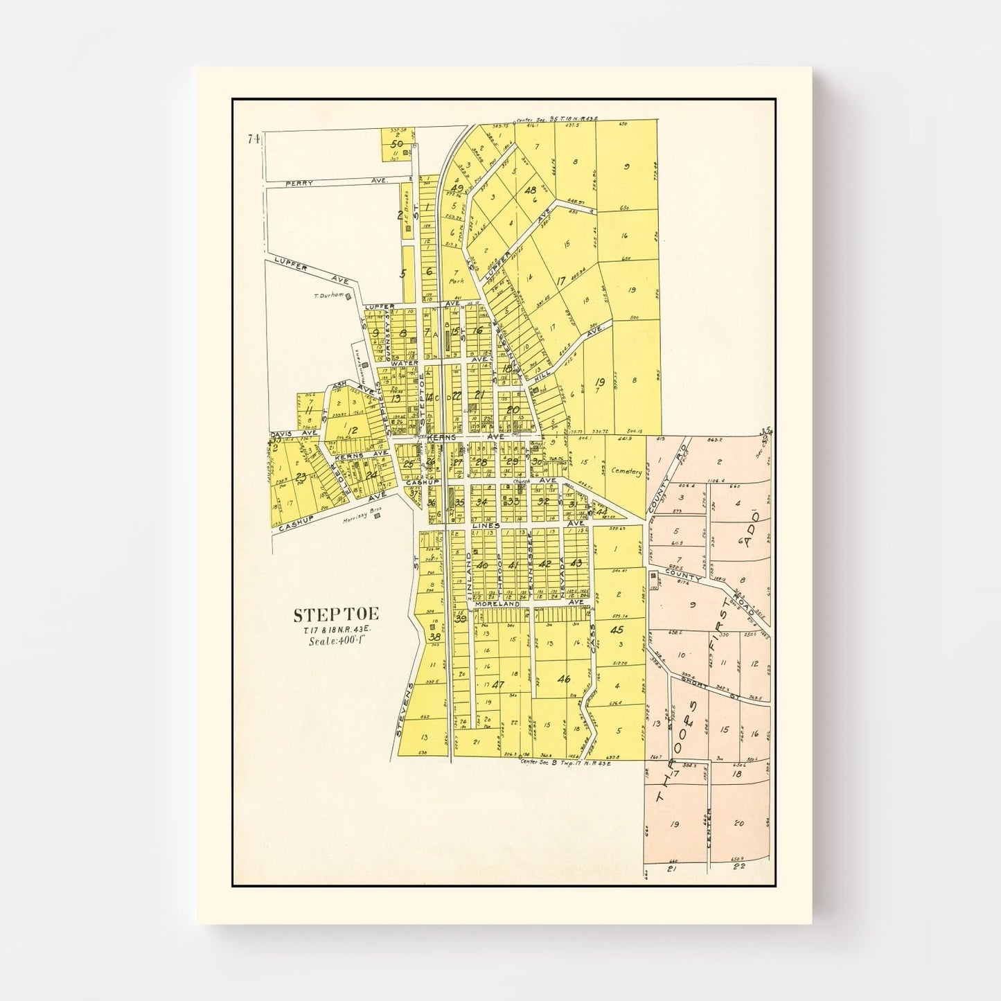 Vintage Map of Steptoe, Washington, 1910