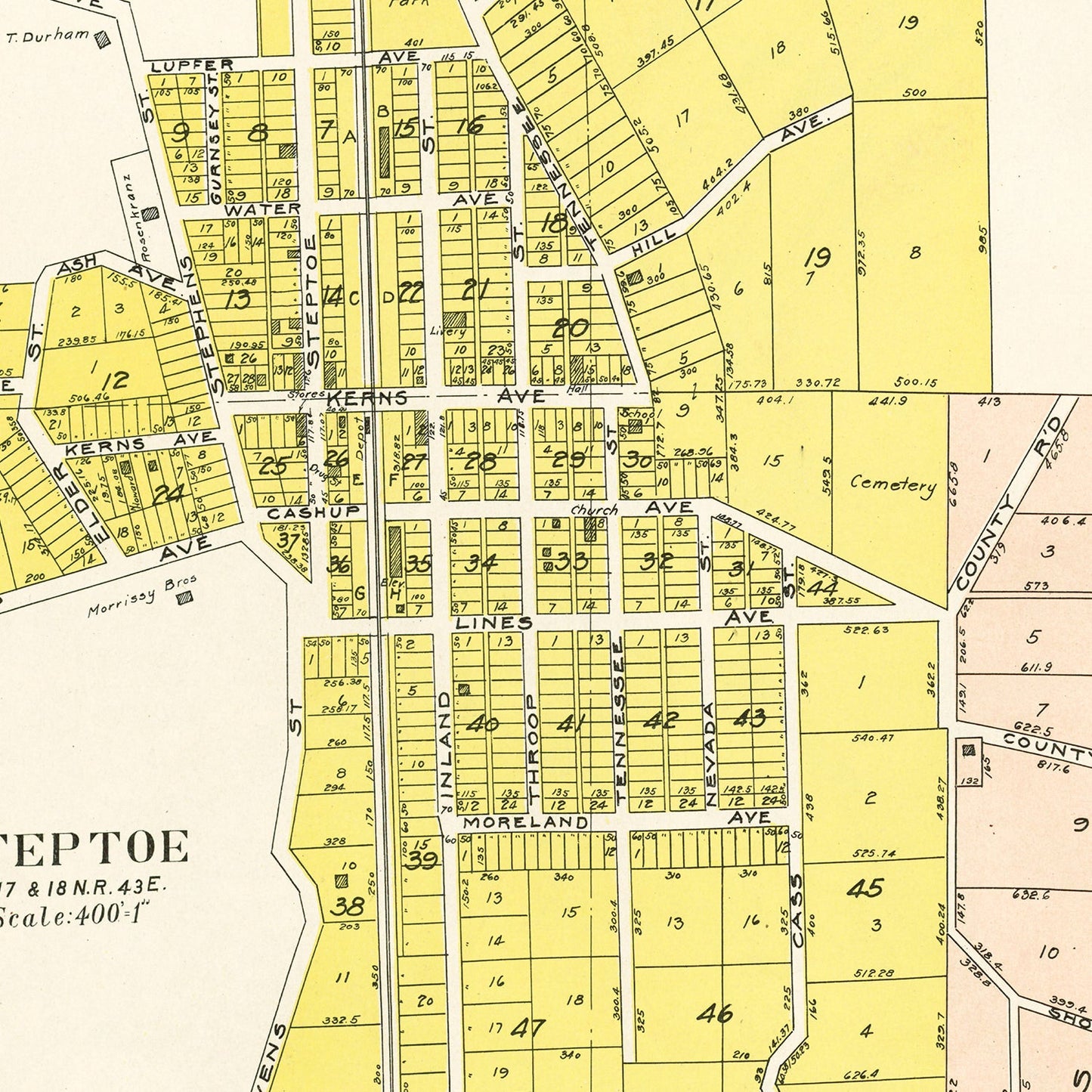 Vintage Map of Steptoe, Washington, 1910