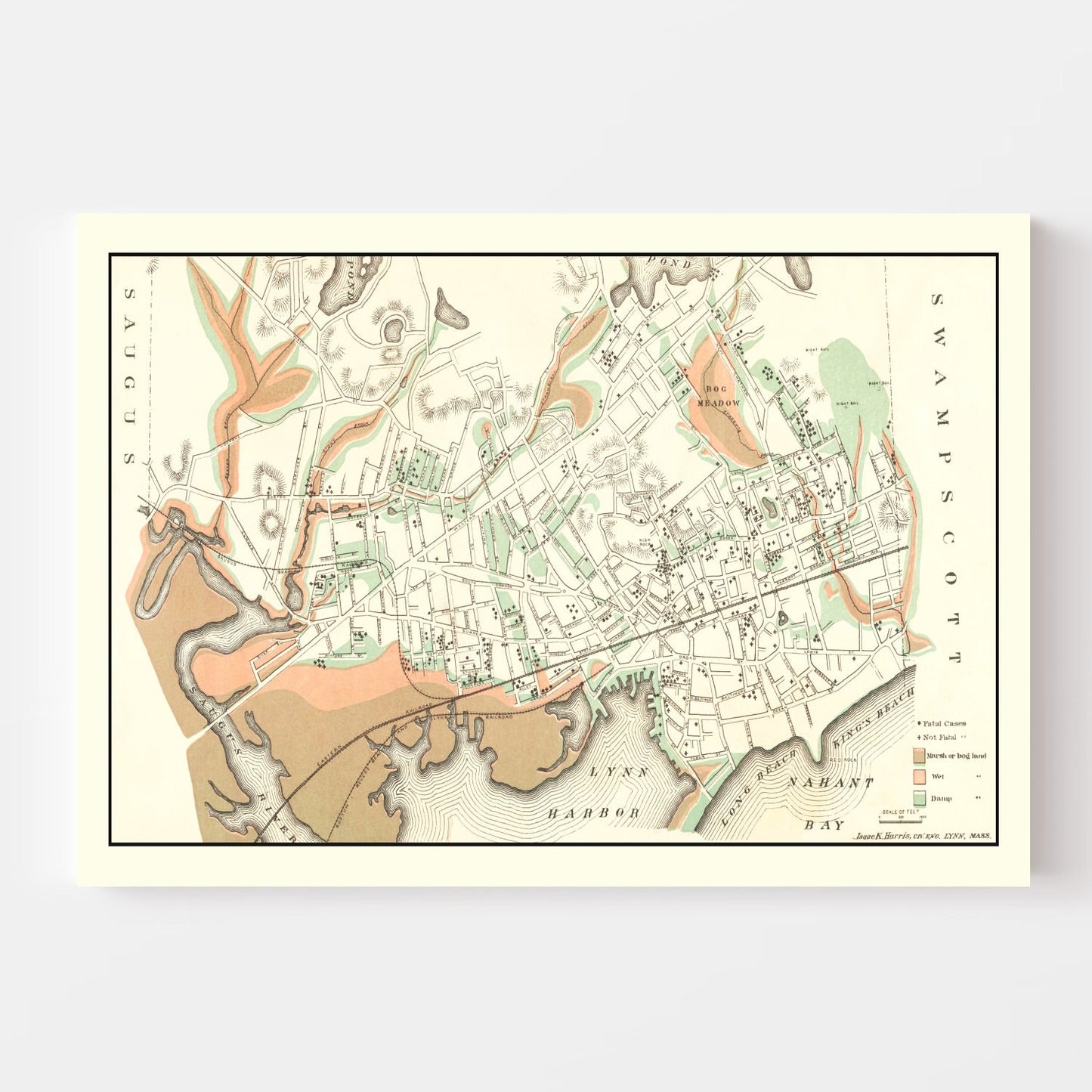 Vintage Map of Lynn, Massachusetts, 1876