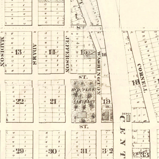 Vintage Hyde Park, Chicago Map, 1870