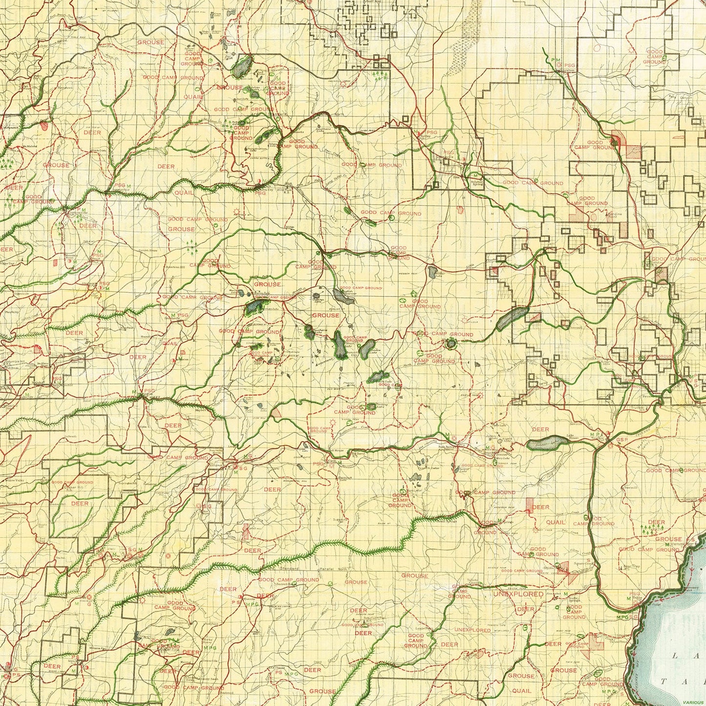 Vintage Map of Tahoe National Forest, 1916