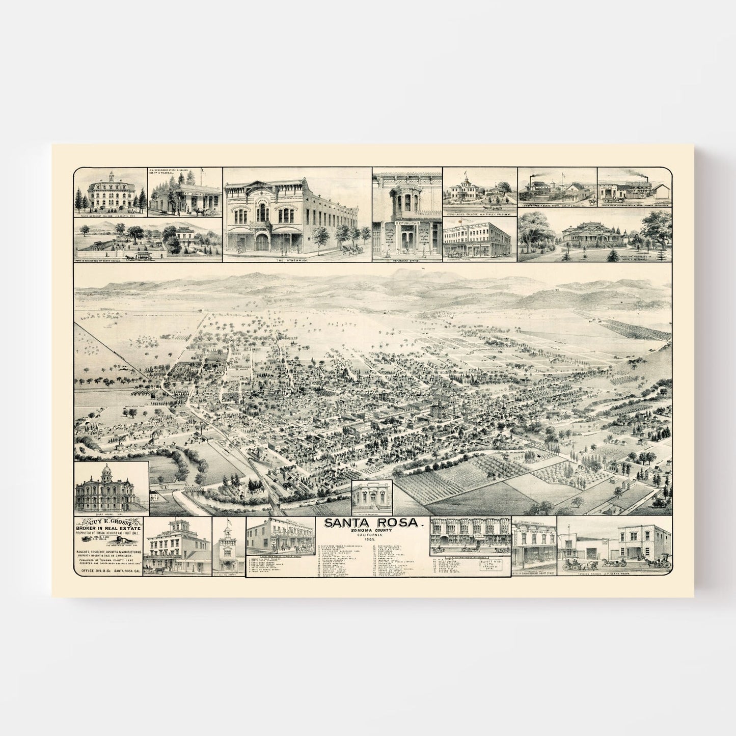 Vintage Map of Santa Rosa, California, 1885