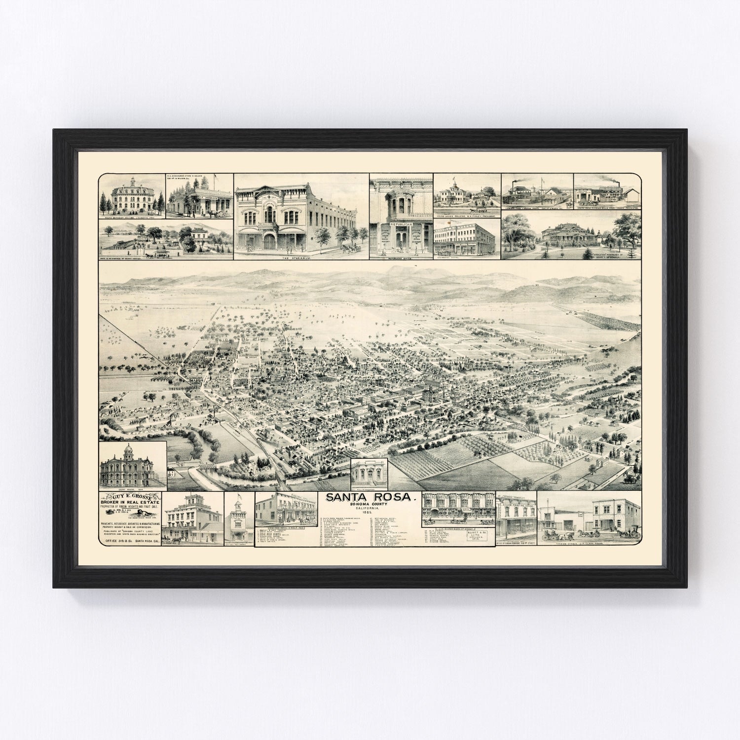 Vintage map of Santa Rosa, California, 1885