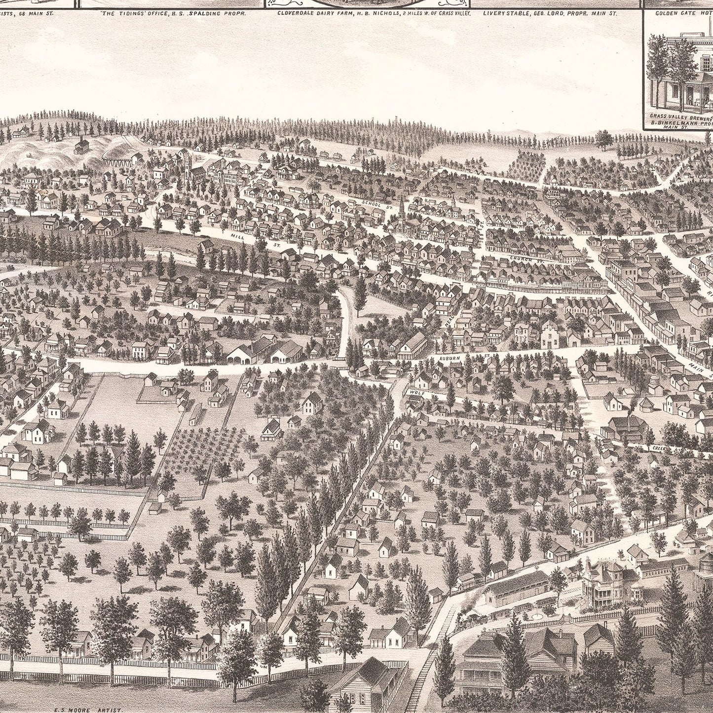 Vintage Map of Grass Valley, California, 1889