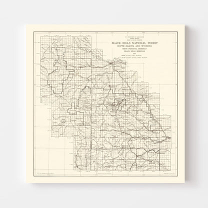 Vintage Black Hills National Forest Map 1917